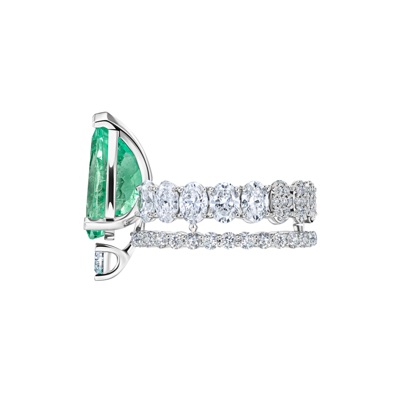 R55-FD-003-6 Кольцо (750)