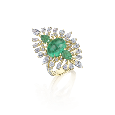 R35-FD-003-5 Кольцо (750)