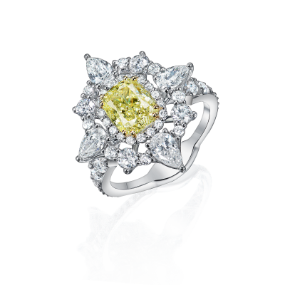 R08-FD-005-6 Кольцо (750)